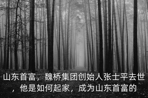 山東首富，魏橋集團創始人張士平去世，他是如何起家，成為山東首富的
