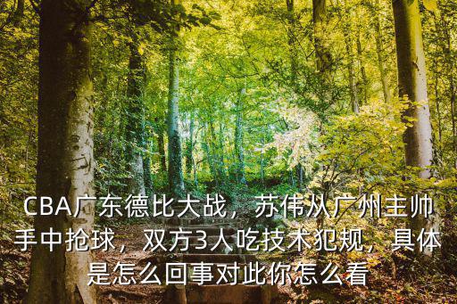 CBA廣東德比大戰，蘇偉從廣州主帥手中搶球，雙方3人吃技術犯規，具體是怎么回事對此你怎么看