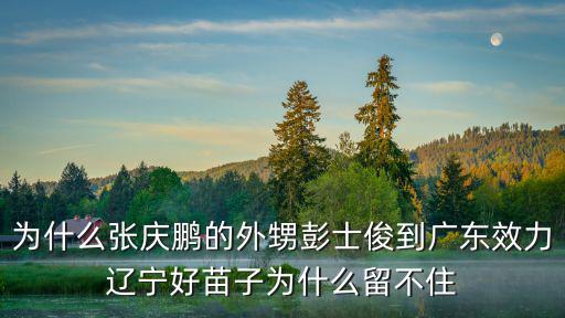 為什么張慶鵬的外甥彭士俊到廣東效力遼寧好苗子為什么留不住