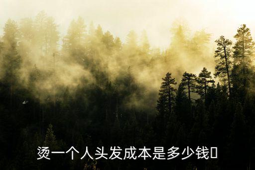 燙一個人頭發成本是多少錢?