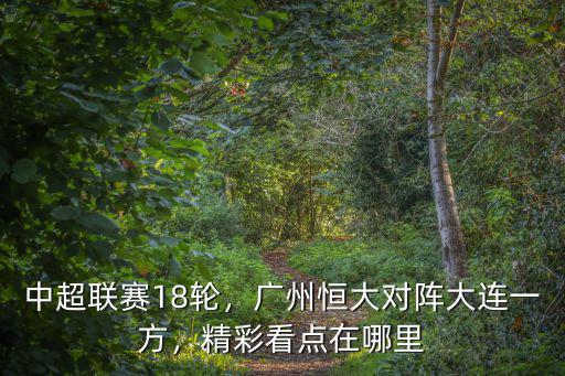 在哪里看廣州恒大比賽,精彩看點在哪里