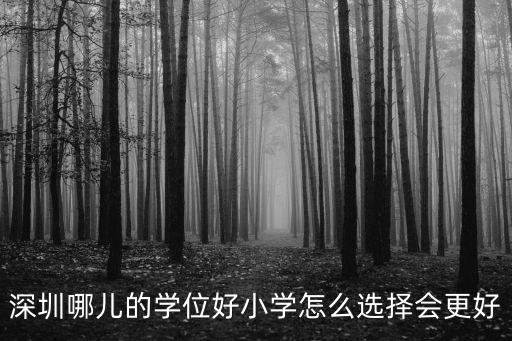 深圳哪兒的學位好小學怎么選擇會更好