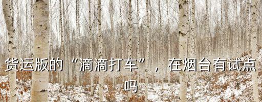 煙臺2019年貨車有多少,在煙臺有試點嗎