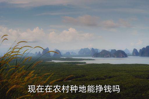 在廣東種地收入怎么樣,現(xiàn)在種地怎么樣啊