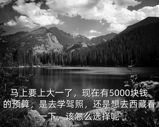 馬上要上大一了，現在有5000塊錢的預算，是去學駕照，還是想去西藏看一下，該怎么選擇呢