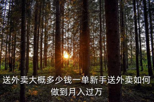 青島外賣訂單一單多少錢,送外賣大概多少錢一單