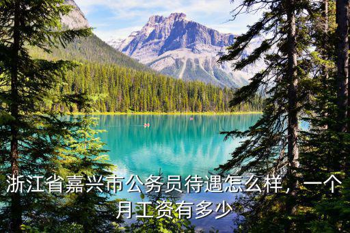 上海嘉興稅務局一個月多少錢,江蘇公務員一年收入多少錢