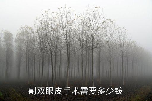 割雙眼皮手術需要多少錢