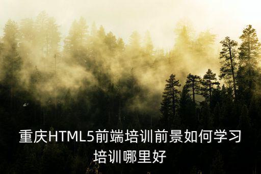 廣州哪里有前端培訓(xùn)哪個好,學(xué)習(xí)培訓(xùn)哪里好