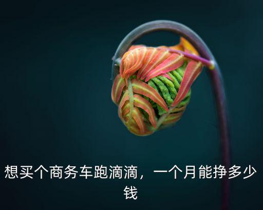 浙江義烏跑滴滴一個(gè)月多少錢,想買個(gè)商務(wù)車跑滴滴