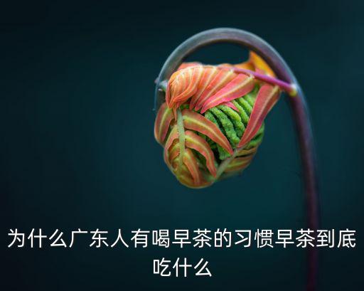 為什么廣東人有喝早茶的習慣早茶到底吃什么