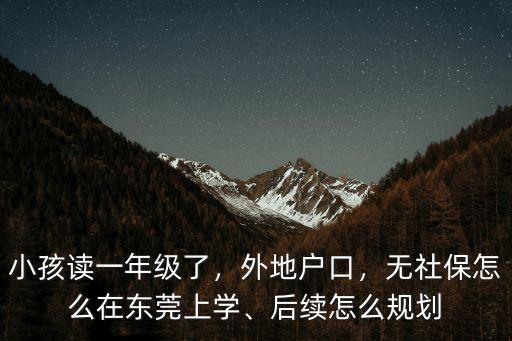 外地怎么在東莞申請上小學,后續怎么規劃