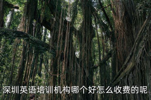 深圳哪里有好的英語培訓機構,深圳哪家英語培訓機構比較好