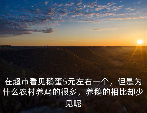 在超市看見鵝蛋5元左右一個，但是為什么農村養雞的很多，養鵝的相比卻少見呢