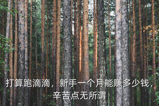 杭州跑滴滴一個月掙多少錢,新手一個月能賺多少錢