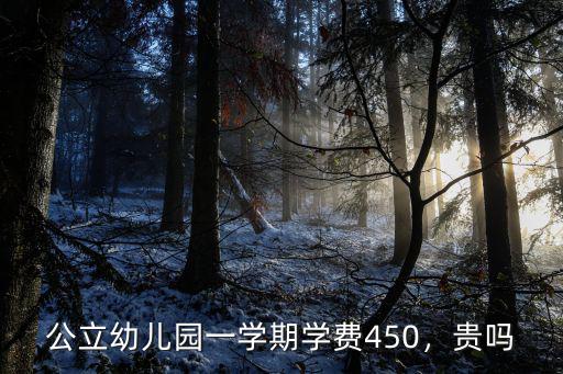 公立幼兒園一學(xué)期學(xué)費(fèi)450，貴嗎