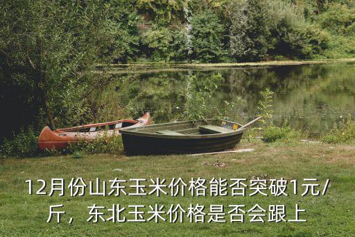 山東泰安玉米價(jià)格今日多少一斤,玉米價(jià)格多少錢一斤