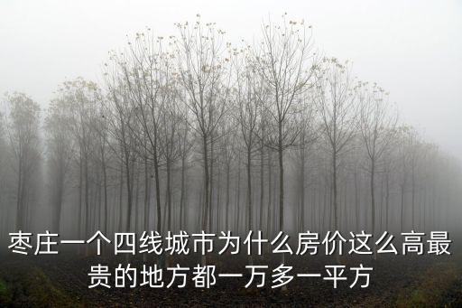 棗莊四里石改造多少錢一平方,最貴的地方都一萬(wàn)多一平方