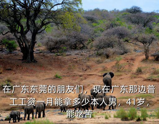 男生在廣東那邊打工多少錢(qián)一個(gè)月,男人在廣州要一個(gè)月多少工資