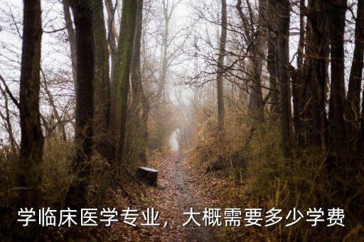 杭州醫(yī)學(xué)院臨床專業(yè)學(xué)費(fèi)多少,學(xué)臨床醫(yī)學(xué)專業(yè)