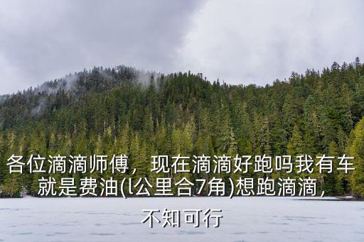 杭州市跑滴滴一天流水大概多少,跑滴滴100元油能跑多少錢