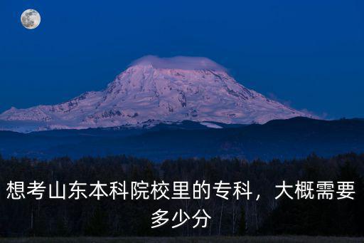 山東多少分可以報專科,想考山東本科院校里的專科