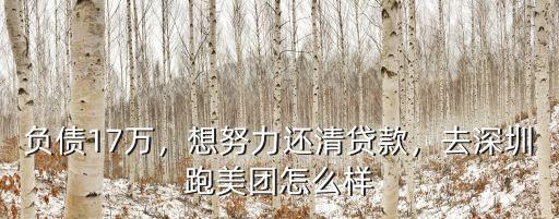 負債17萬，想努力還清貸款，去深圳跑美團怎么樣