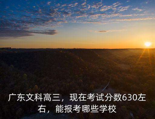 廣東文科高三，現在考試分數630左右，能報考哪些學校