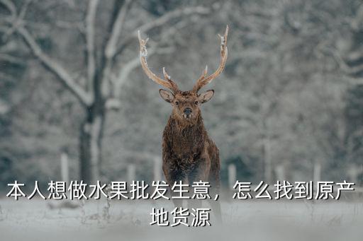 廣州水果玉米貨源怎么找,做水果生意怎么找貨源