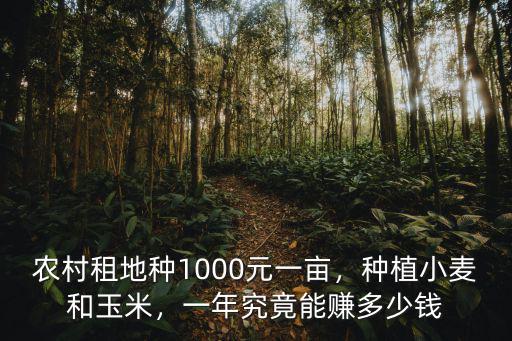 山東平邑農(nóng)民種地一年賺多少錢,一年究竟能賺多少錢