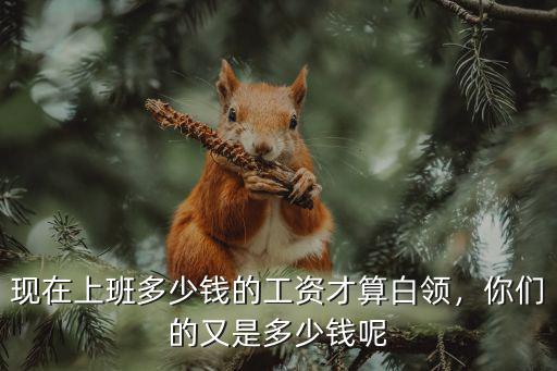 現在上班多少錢的工資才算白領，你們的又是多少錢呢