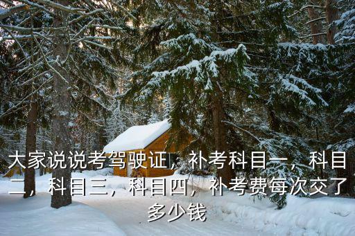 溫州駕駛證科三補考費用多少,大家說說考駕駛證