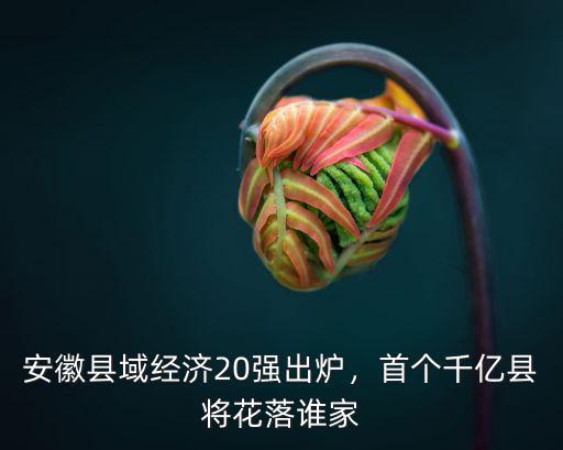浙江有多少千億縣,首個千億縣將花落誰家