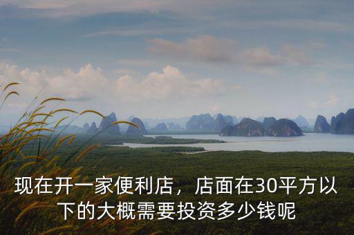 在中山市開一間便利店需要多少錢,現在開一家便利店