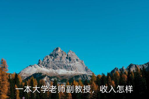 一本大學老師副教授，收入怎樣