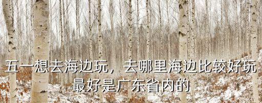 廣東省內海邊自駕游哪里好玩,去哪里海邊比較好玩