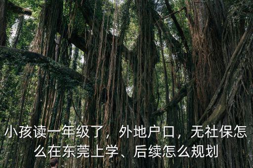 小孩讀一年級(jí)了，外地戶口，無(wú)社保怎么在東莞上學(xué)、后續(xù)怎么規(guī)劃