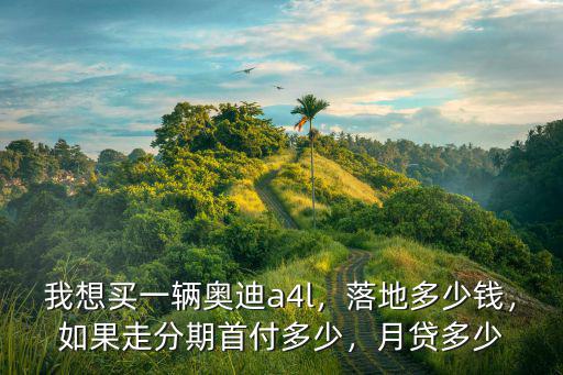 淄博買奧迪a4l多少錢,如果走分期首付多少