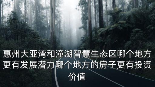 惠州大亞灣和潼湖智慧生態區哪個地方更有發展潛力哪個地方的房子更有投資價值