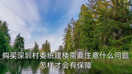 購買深圳村委統建樓需要注意什么問題怎樣才會有保障