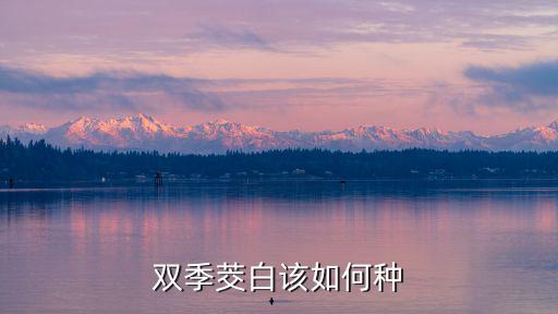 雙季茭白該如何種