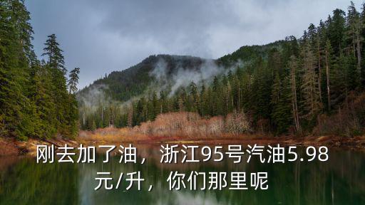 今天浙江95號油價是多少,油價或兩連跌