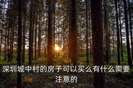 深圳城中村的房子可以買么有什么需要注意的