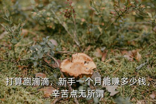 杭州建模新人能拿多少錢,問下杭州普通人工資多少