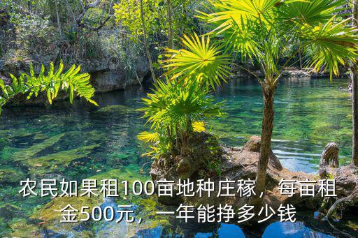 農民如果租100畝地種莊稼，每畝租金500元，一年能掙多少錢