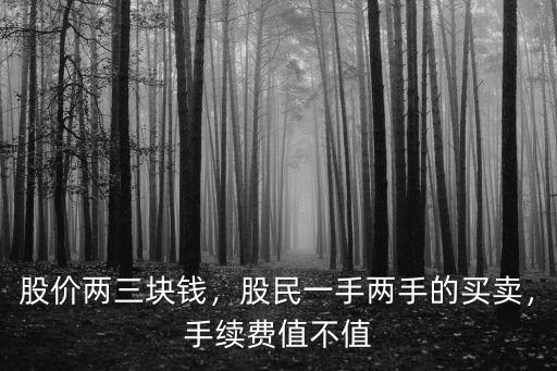 深圳一手股票手續費多少錢,股民一手兩手的買賣