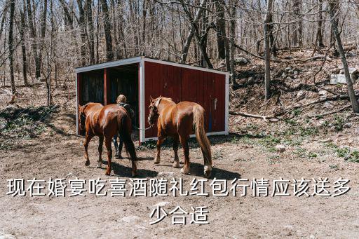 現(xiàn)在婚宴吃喜酒隨禮紅包行情應(yīng)該送多少合適