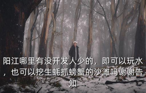 陽江哪里有沒開發(fā)人少的，即可以玩水，也可以挖生蠔抓螃蟹的沙灘嗎謝謝告知