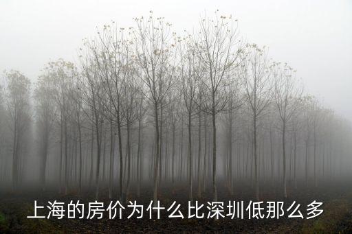 深圳比上海差多少,含金量比深圳還要高