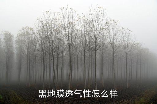 黑地膜透氣性怎么樣